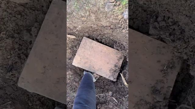 We found treasure chest using metal detector смотреть онлайн
