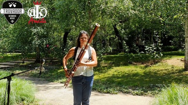 Fagote Amati Classic ABN 81D смотреть онлайн