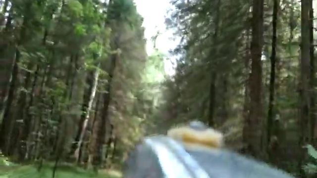 Вело покатушка по лесной дороге на реку смотреть онлайн