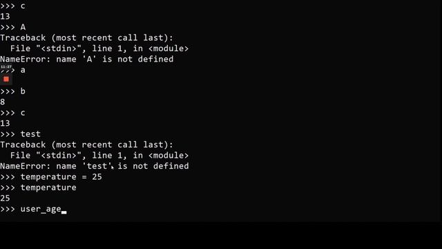PYTHON BASICS 2 of 12 смотреть онлайн