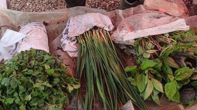Ціни на ринку Шувар. Розсада овочів , квіти, полуниці. смотреть онлайн