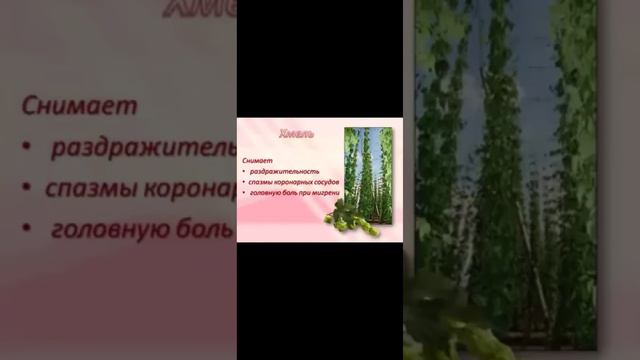 Фемсин компании Dr.Nona. Рассказывает доктор Наталья Косьменко.