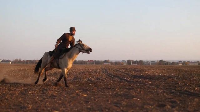 Адыгэш?Кабардинская порода лошадей? смотреть онлайн