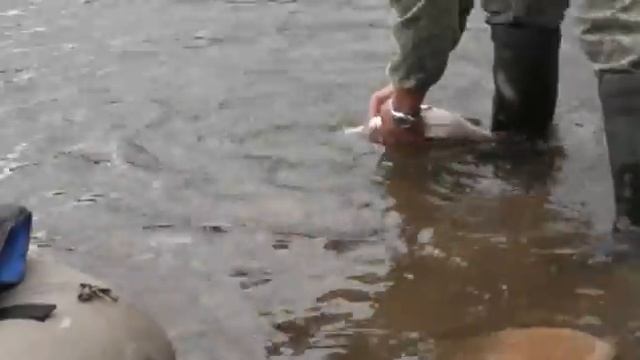 Кулинарное творчество на все случаи жизни 