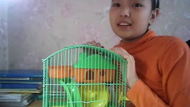 Клетка для хомяка (2 часть) смотреть онлайн