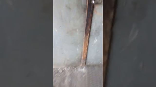 Автоджентльмен