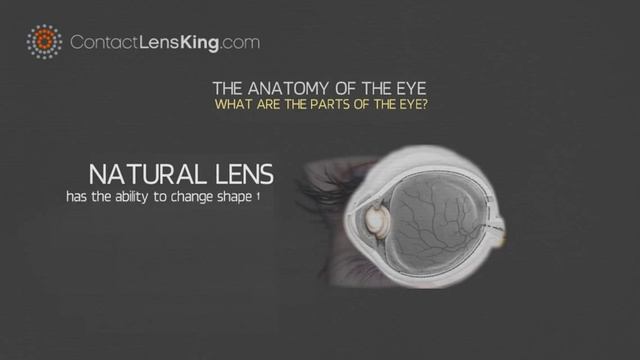 Eye Anatomy and Physiology | What are the Parts of the Eye смотреть онлайн