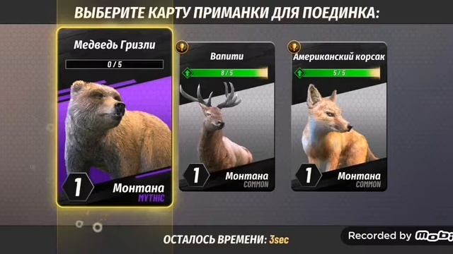 Играем в Hunting Clash 2020 смотреть онлайн