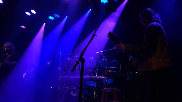 Toad Head, Jammin Java, 11-29-19 смотреть онлайн