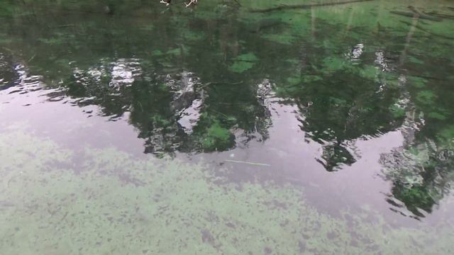 Галина Смит.Ложь о дочери. Зачем? смотреть онлайн