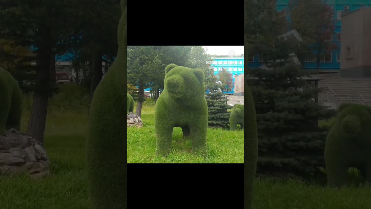 4 ноября 2023 г.