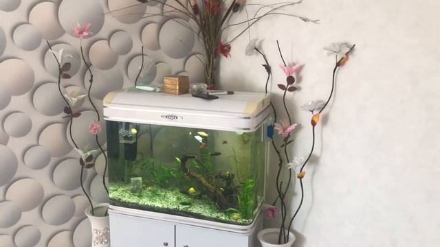 Декор своими руками ✊😉 смотреть онлайн