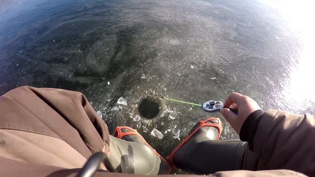 Как ЛОВИТЬ ПЛОТВУ?! Ловля ПЛОТВЫ на БЕЗМОТЫЛКУ! Зимняя Рыбалка 2020 ! смотреть онлайн