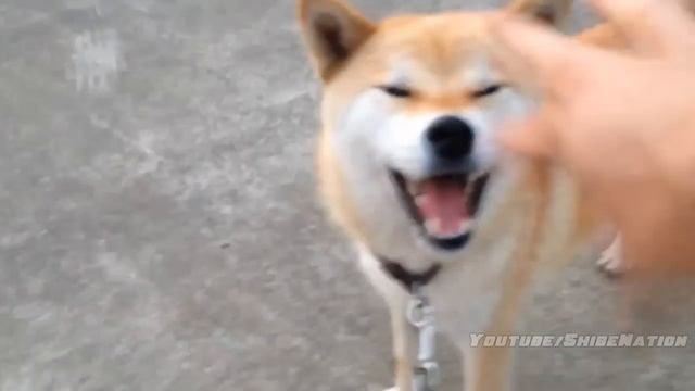 POWERING UP... .R RR..R.. .. R.R...RR R RR RRRRRR..RRREEEE смотреть онлайн