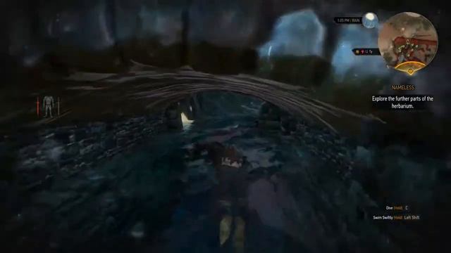 SOLVED NAMELESS THE WITCHER 3 WILD HUNT - The Witcher 3 Wild Hunt - Gamer7 смотреть онлайн