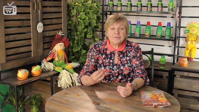 Болезни тюльпанов ? Пестролепестность ? Советы HitsadTV