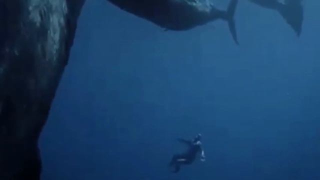 Песня КитА смотреть онлайн