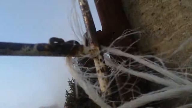 Чолпон-ата Пещаная буря. Иссык куль смотреть онлайн