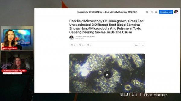 Self Assembling Nano In Geoengineering Spray & Meat. Interview With Dr. Ana Mihalcea