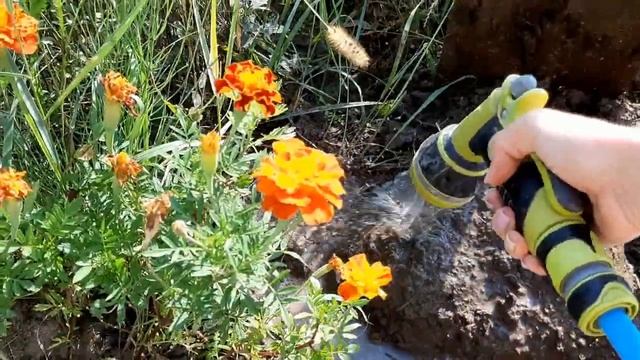 Жара. Купаюсь, работаю. Обычный дачный день.18.08.21. смотреть онлайн