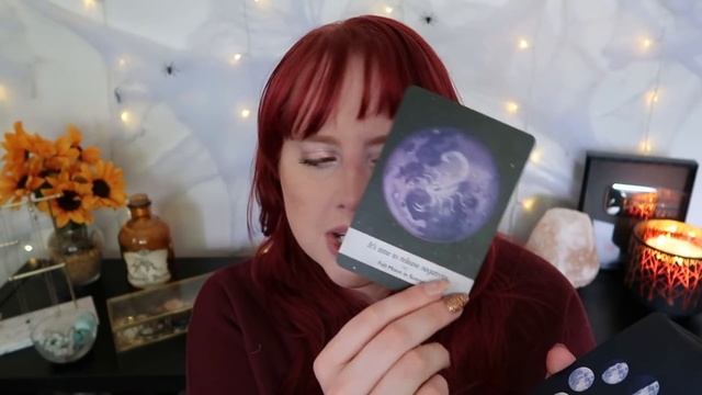 MY TAROT COLLECTION || Sharing + Reviewing ALL MY TAROT/ORACLE Decks (links included) смотреть онлайн