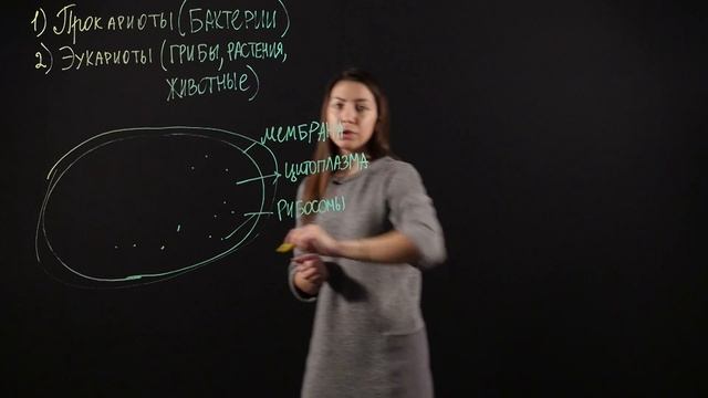 Биология 6 класс: Строение клетки. Прокариоты смотреть онлайн