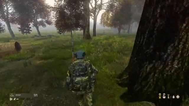 Overwatching in the fields.. DayZ PS4 Gameplay - SoyBoy смотреть онлайн