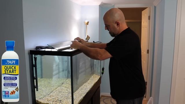 Stop Wasting Money On These Aquarium Products! смотреть онлайн