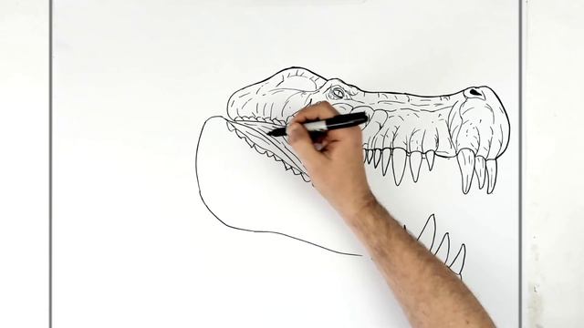 How To Draw Deinosuchus | Step By Step | Jurassic World смотреть онлайн