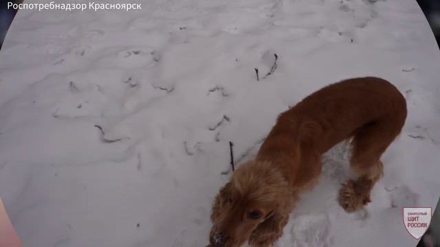 Чистые руки смотреть онлайн