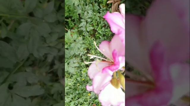 7.10Анна Каренина. смотреть онлайн