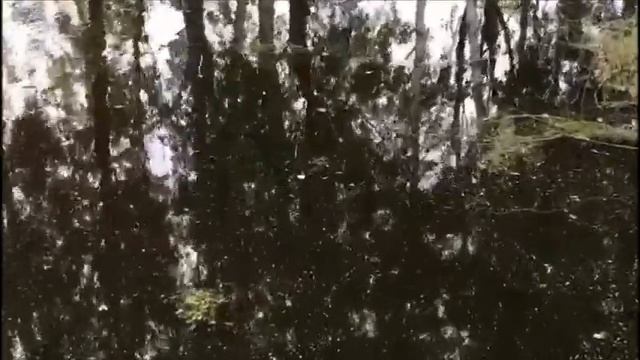 Ловля карася и ротана. СПб. Пожарный водоём. смотреть онлайн