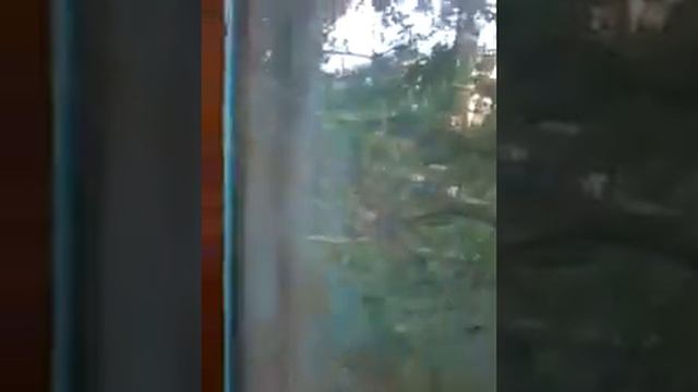 Я живу возле школы смотреть онлайн