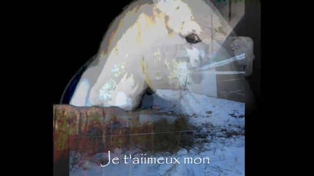 Mon petit chou-chou!!! смотреть онлайн