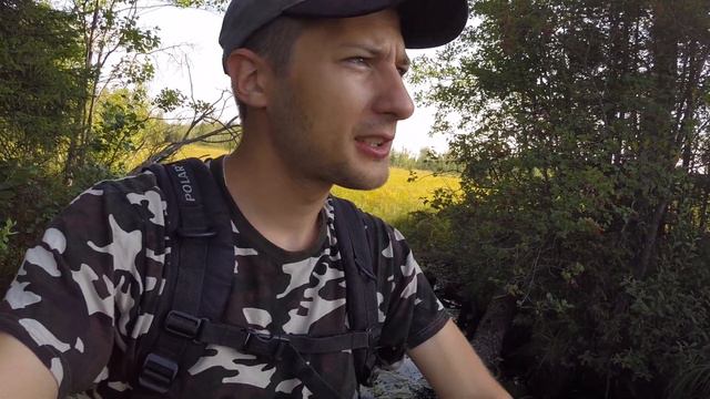 Bogs and Marshlands of Berezinsky reserve | Belforrest смотреть онлайн