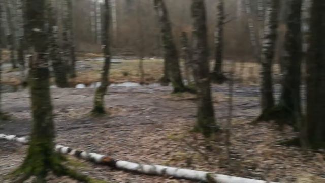 Аномально тёплая зима смотреть онлайн