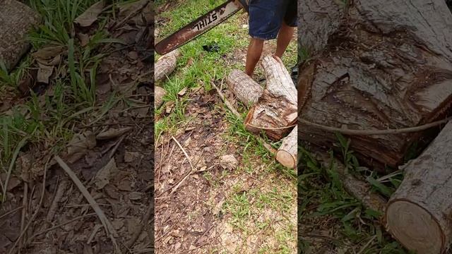 Original STIHL made In Germany. смотреть онлайн