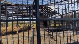 Зоопарк в Старом осколе. Zoo in Stary Oskol