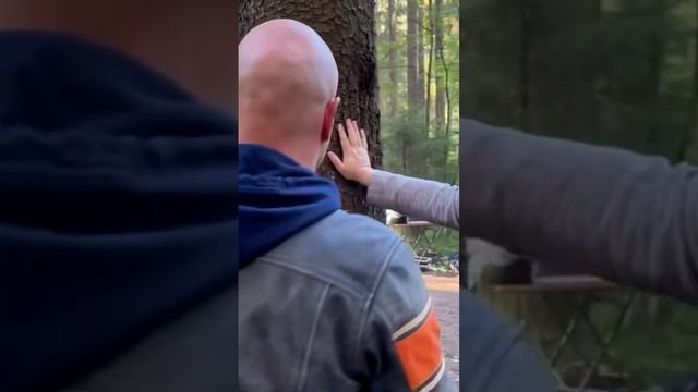 Никита Панфилов съёмки Лихач-3 смотреть онлайн