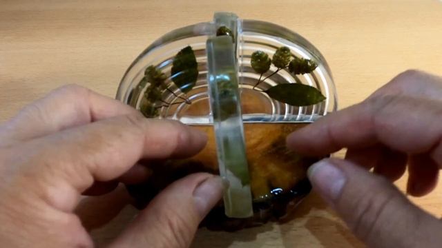 Поворотная подставка из эпоксидной смолы и спилов дерева смотреть онлайн