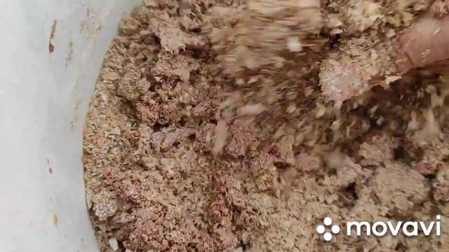 Витаминная и белковая подкормка для кур смотреть онлайн