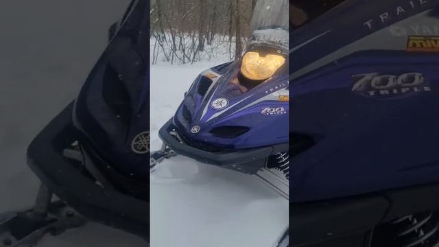 12 декабря 2023 г. смотреть онлайн