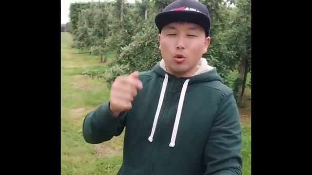 Англияга кантип барса болот смотреть онлайн