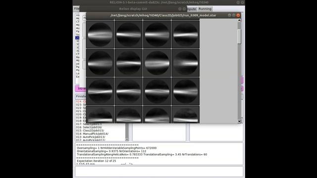 Relion 3D Reconstruction | Helical Reconstruction | 2D Classification | Cryo EM смотреть онлайн
