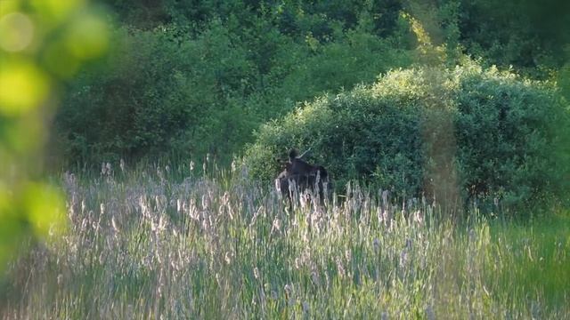 место, где природы может быть собой смотреть онлайн