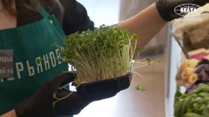 Лукашенко на рынке_ У меня 11 коров! Я тебе бычка продам! __ Общение с фермерами.