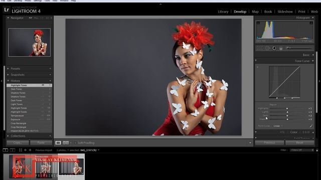 Основы Инструменты Работа в Lightroom часть 3 смотреть онлайн