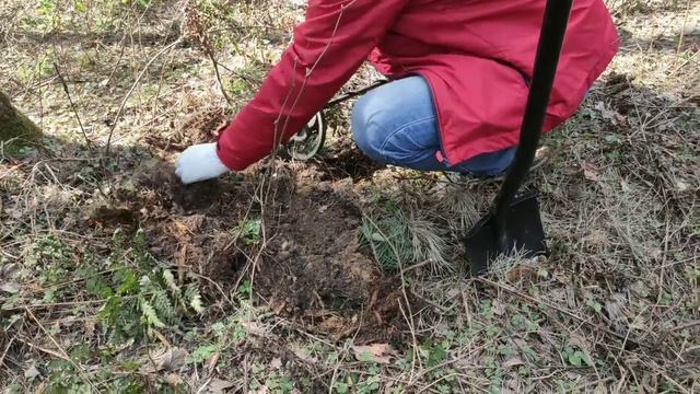 Поиск с металлоискателем мд 4030р. смотреть онлайн