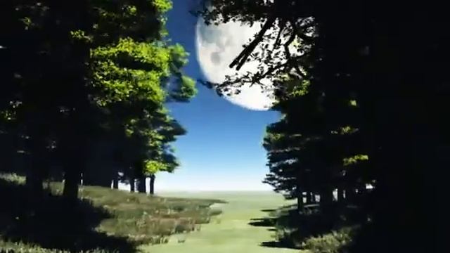 Vue 10 Animation Full moon forest animation смотреть онлайн