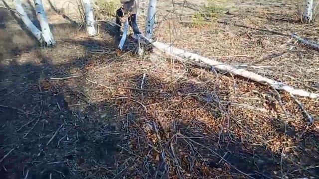 Ралли по зыбучим пескам ... вешенка 11.11.2020 смотреть онлайн